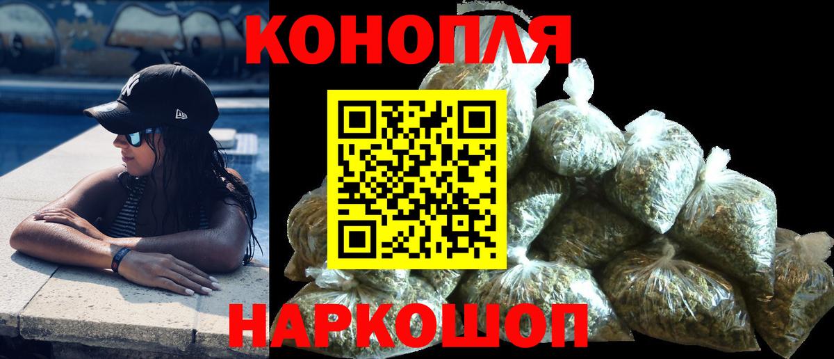 Шишки марихуана план  Вход с VPN  МАРИХУАНА VHQ  Бошки Шишки тримм  Гай 